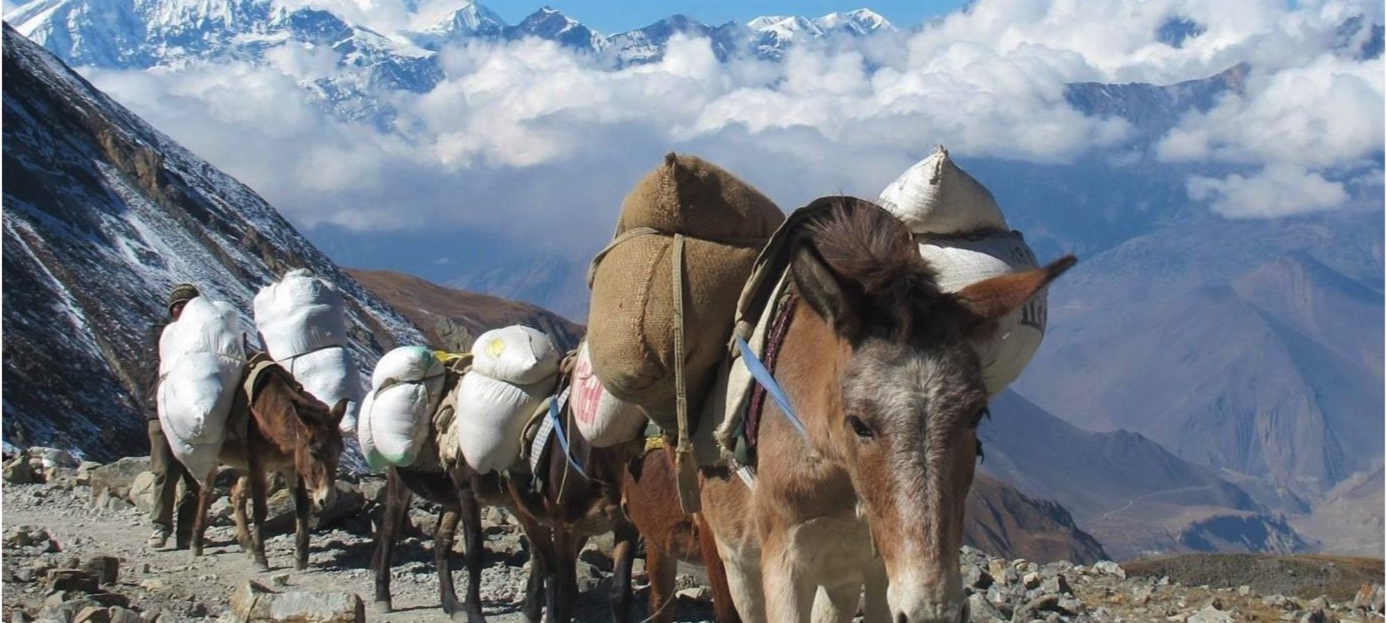 Photos from our Nepal Cycling Holiday